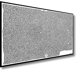 freemazebanner1-u550